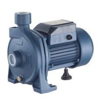 RAINPUMP CPM130 SANTRİFÜJ POMPA
