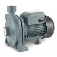 RAINPUMP CPM158 SANTRİFÜJ POMPA