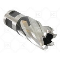 Evolution Kısa Seri Kesici Uç 42 mm- Uzunluk 25 mm